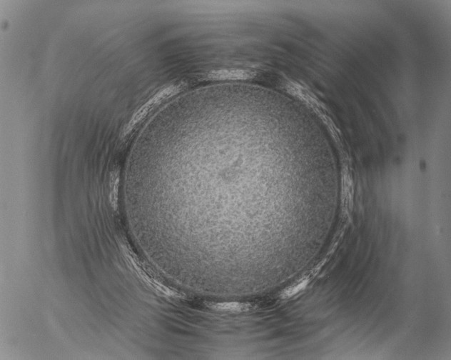 X0000057100153200509231725