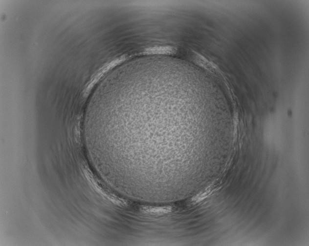 X0000057100155200509231725