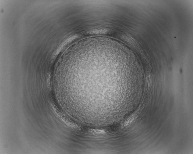 X0000057100159200509231725