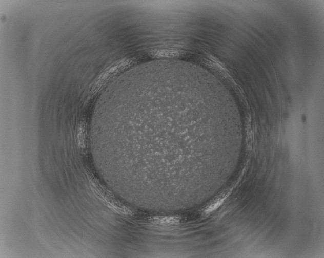 X0000057100161200509231725