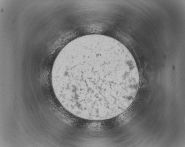 X0000057100162200509231725