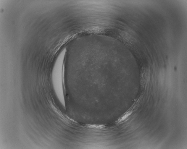 X0000057100168200509231725