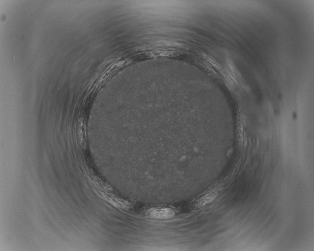 X0000057100169200509231725