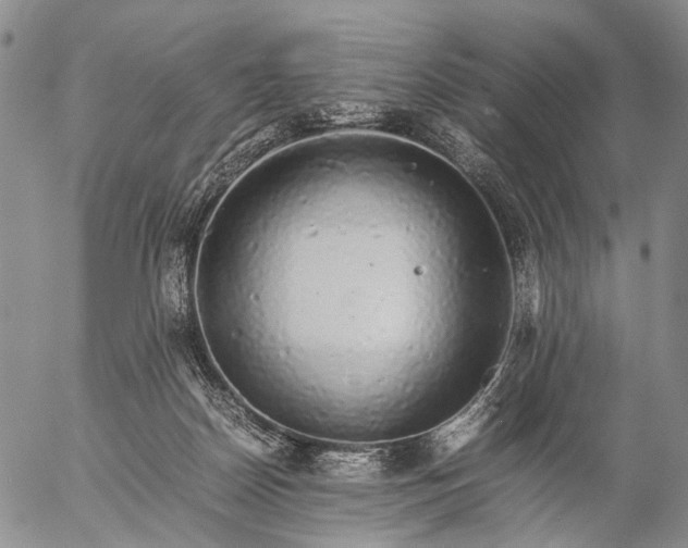 X0000057100170200509231725