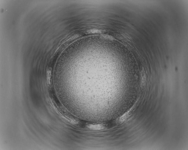 X0000057100171200509231725