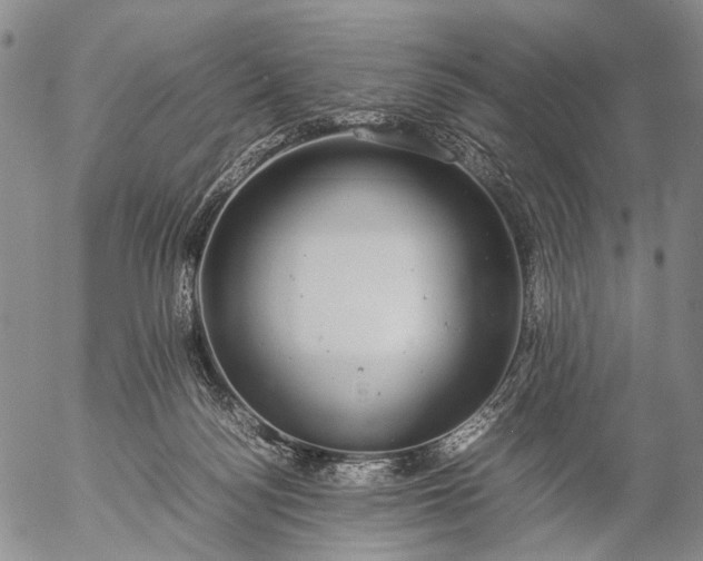 X0000057100172200509231725