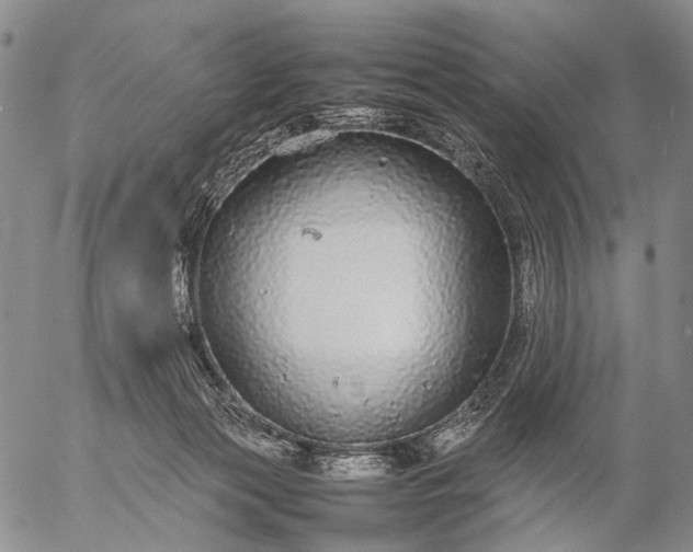 X0000057100173200509231725