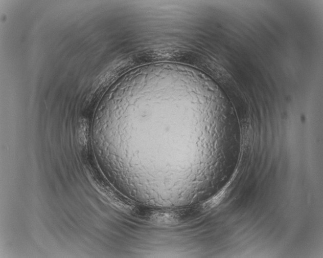 X0000057100174200509231725