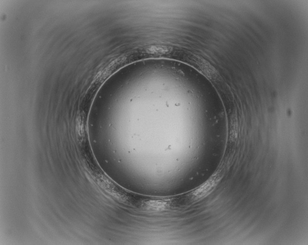 X0000057100176200509231725