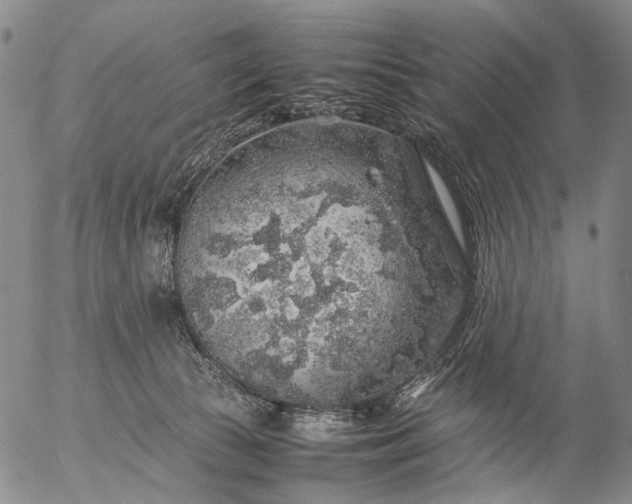 X0000057100177200509231725