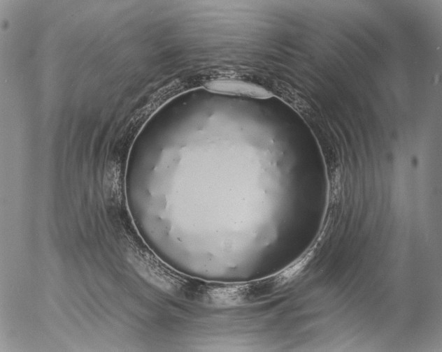 X0000057100178200509231725