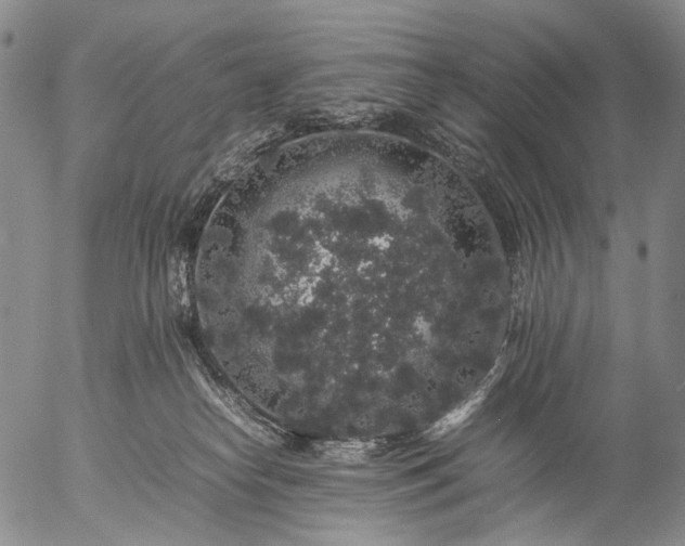 X0000057100182200509231725