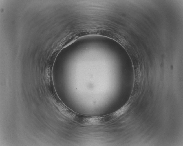 X0000057100184200509231725