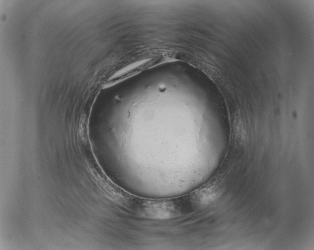 X0000057100185200509231725