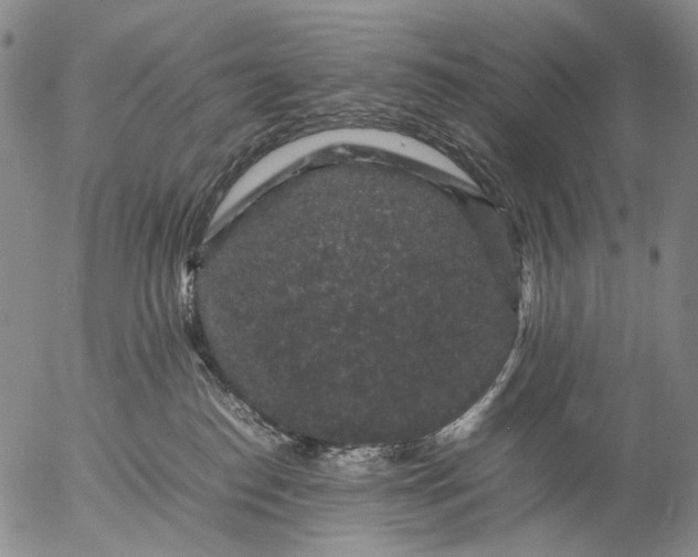 X0000057100186200509231725