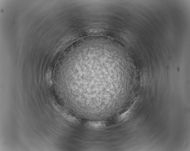 X0000057100187200509231725