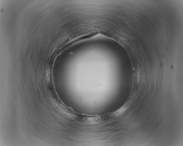 X0000057100188200509231725