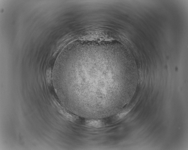 X0000057100189200509231725