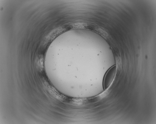 X0000057100190200509231725