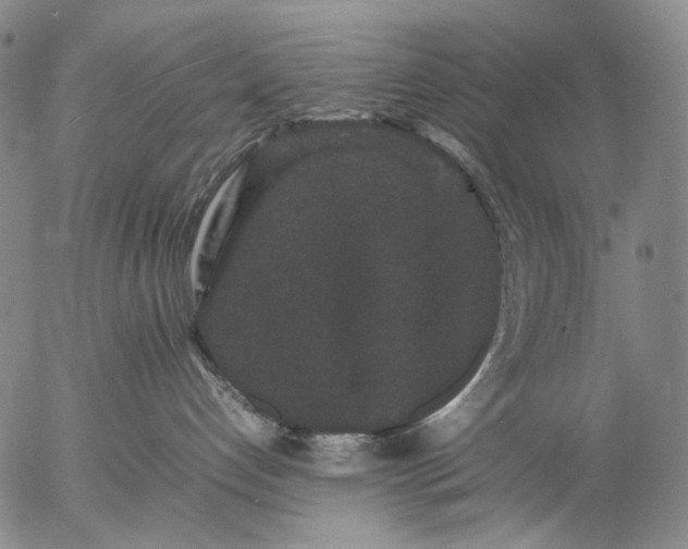 X0000057100192200509231725