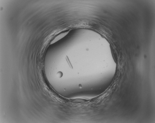 X0000057100193200509231725