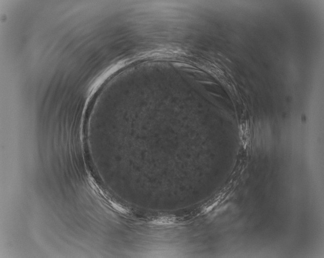 X0000057100196200509231725