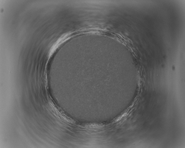 X0000057100198200509231725