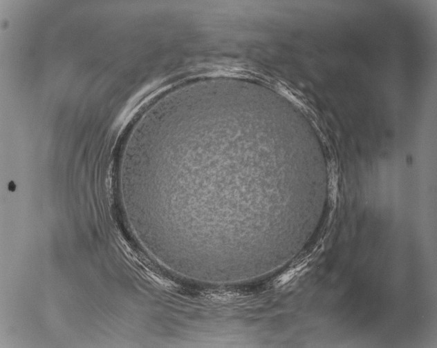 X0000057100199200509231725