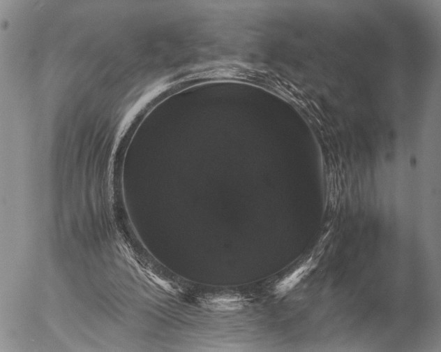 X0000057100200200509231724