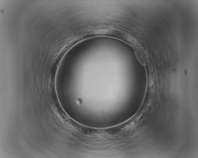 X0000057100201200509231724