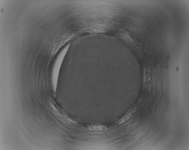 X0000057100202200509231724