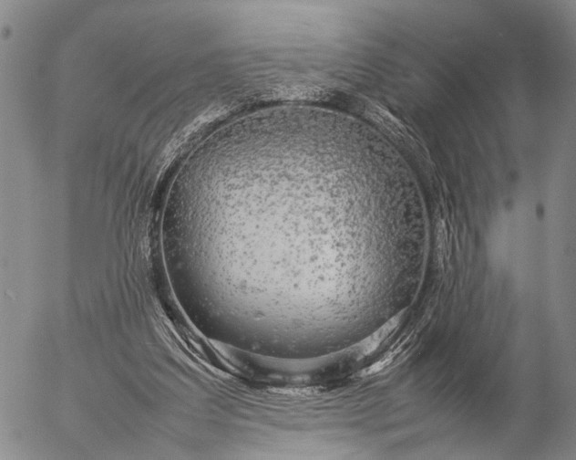 X0000057100203200509231724