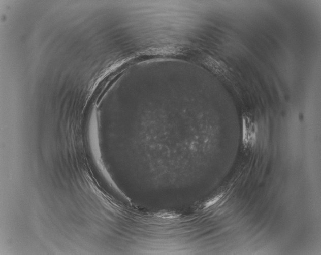 X0000057100204200509231724