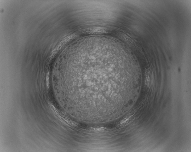 X0000057100206200509231724