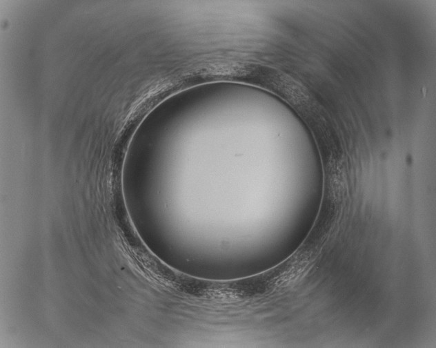 X0000057100207200509231724