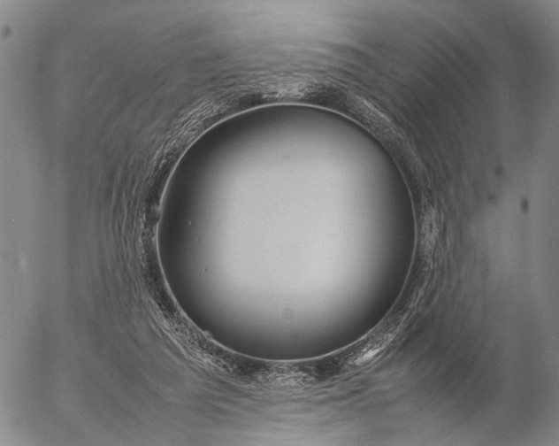 X0000057100209200509231724