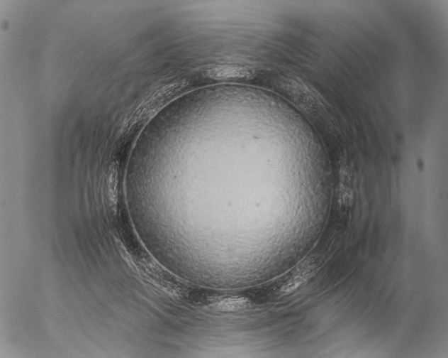 X0000057100210200509231724