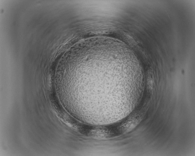 X0000057100211200509231724