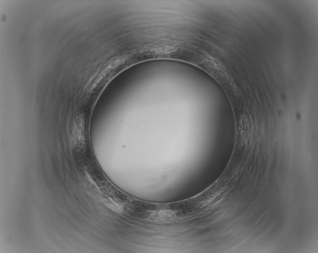 X0000057100212200509231724