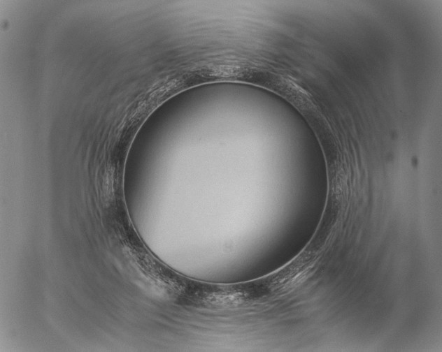 X0000057100213200509231724