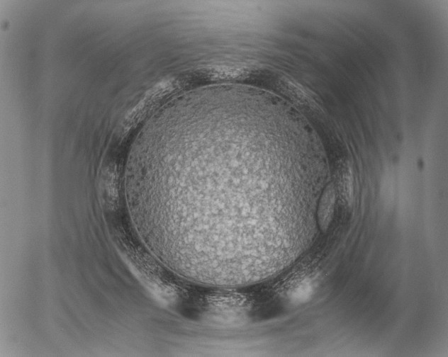 X0000057100215200509231724