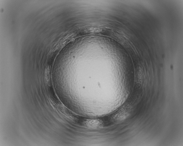 X0000057100218200509231724