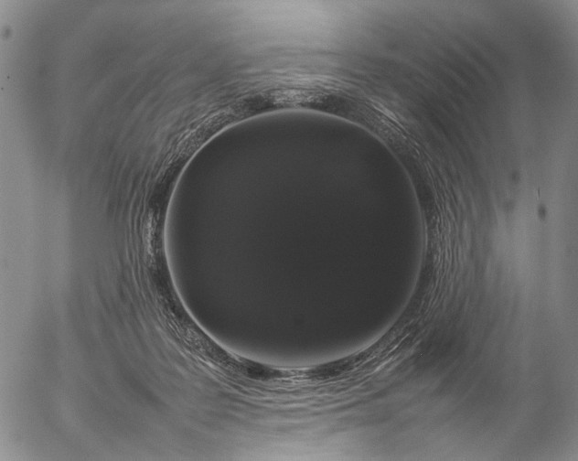 X0000057100219200509231724