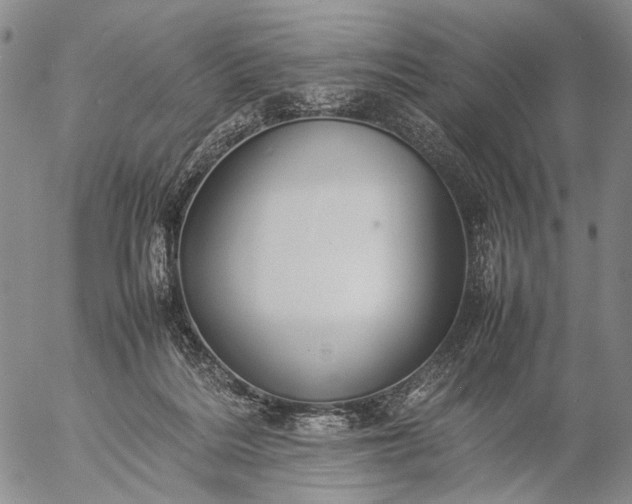 X0000057100220200509231724