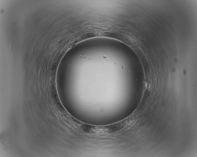 X0000057100221200509231724