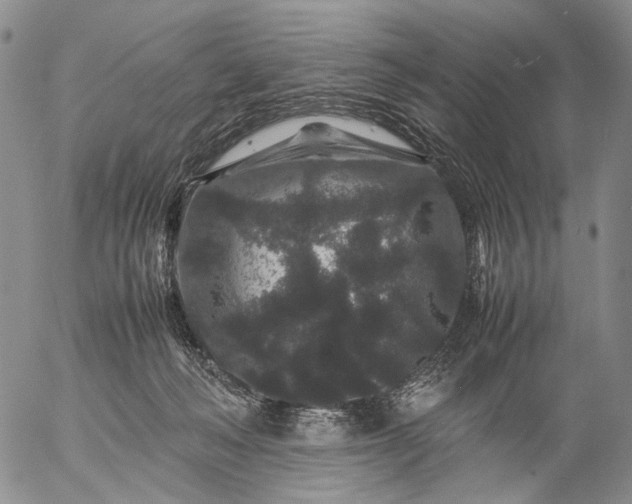 X0000057100222200509231724