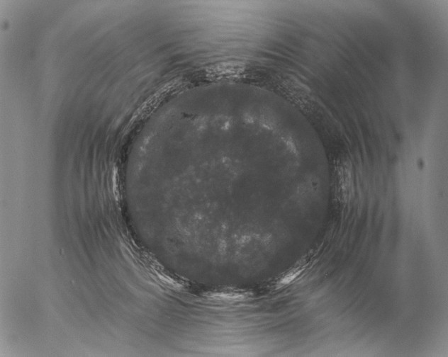 X0000057100224200509231724