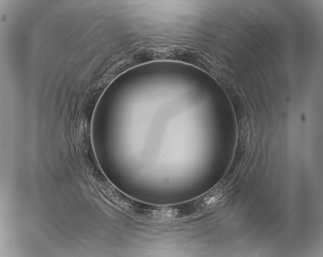 X0000057100225200509231724