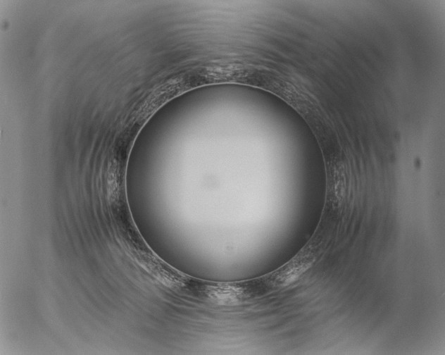 X0000057100226200509231724