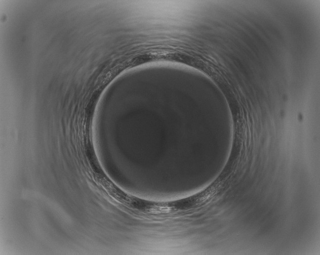 X0000057100227200509231724